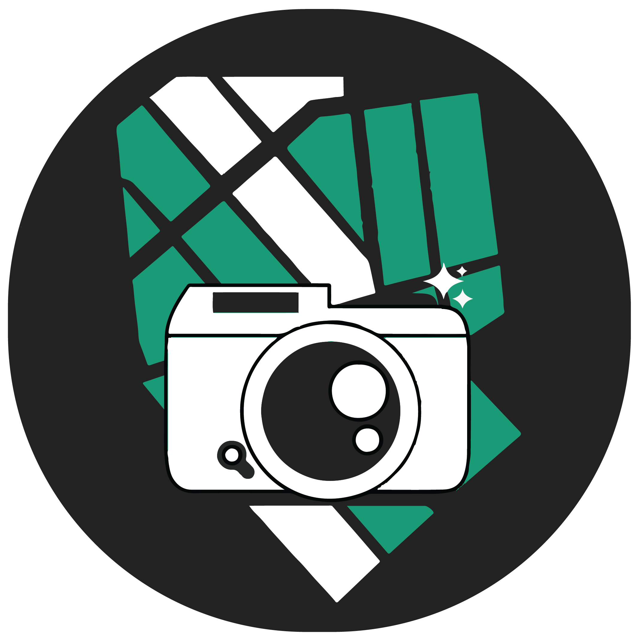 Location Cam Icon